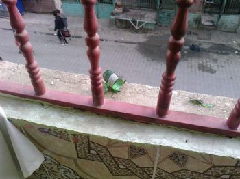 Göstericiler Molotof Fırlattıkları Evde Yangın Çıkardı