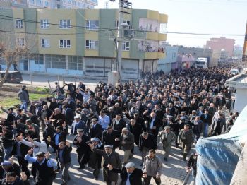 Silopi'de Bdp'den 4 Dilli Basın Açıklaması