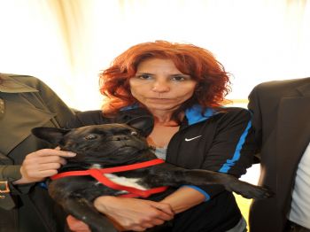 Antalya'da Haczedilen Köpek