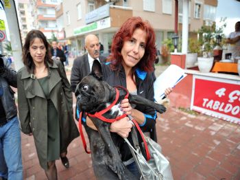 Sarıgül Borcu Ödedi, Borca Karşılık Haczedilen Köpek Geri Alındı