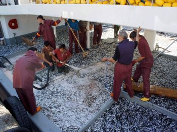SÜLEYMAN ÖZDEMIR - Kastamonu’da 'karadeniz’de Sürdürülebilir Balıkçılığın Desteklenmesi' Projesi Tanıtılacak