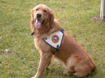 Fosfor, Uyuşturucu Tacirlerine Geçit Vermedi