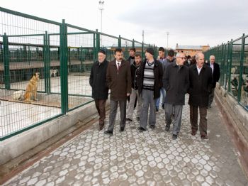 ORHAN DEMIROK - Muhtarlar Çalışmaları İzledi