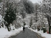 Giresun‘da kar yağışı etkili oluyor