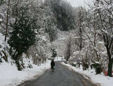 Giresun‘da kar yağışı etkili oluyor