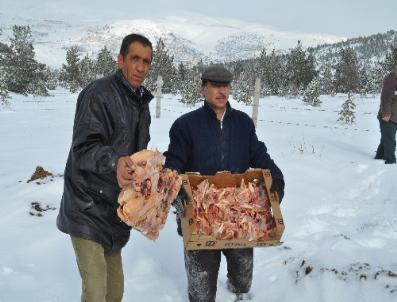 Yaban hayvanları için doğaya yiyecek bırakıldı