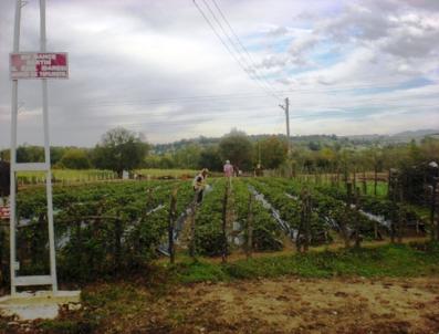 Bartın İl Özel İdaresi‘nden çiftçilere müjde