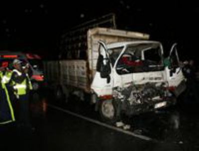 Kamyon vince çarptı: 1 ölü