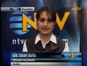 'Karar, son derece cinsiyetçi'