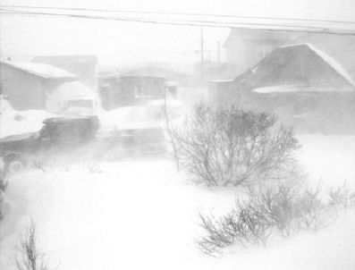 Van'da kar ve fırtına hayatı felç etti