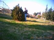 Uyuşturucu tacirlerine helikopter destekli şafak operasyonu: 55 gözaltı