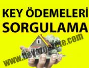 5. Key ödemeleri sorgulama paneli (Key ödemeleri 2011)