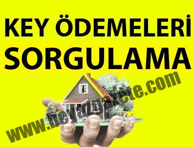 Key sorgulama paneli (tam liste) 2011