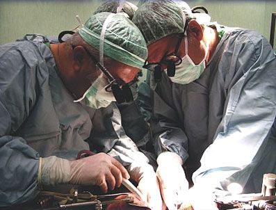 KADAVRA - Organlar tek merkezden dağıtılacak