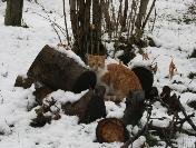 Giresun‘da kar yağışı devam ediyor