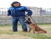 Zeus, 3 dakikada saklı eroini buldu