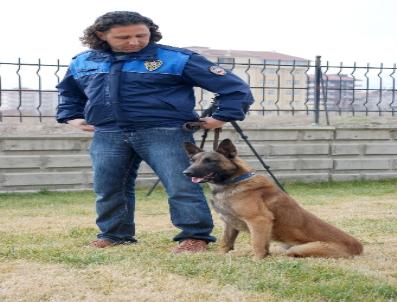 Zeus, 3 dakikada saklı eroini buldu