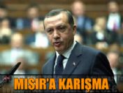 Model ihraç etmiyoruz