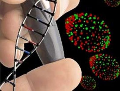 7 bin 500 kök hücre gönüllüsü aranıyor