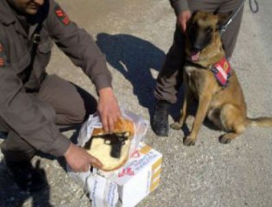 Trabzon'dan ekmek arası tabanca