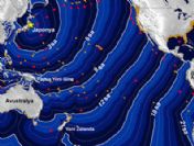 Pasifik'te tsunami paniği