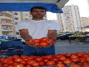 Domatesin 3 Kilosu 1 Liraya Düştü