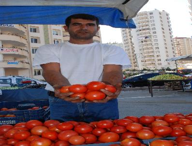 Domatesin 3 Kilosu 1 Liraya Düştü
