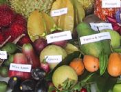 Çıkarken hızlı düşerken yavaş