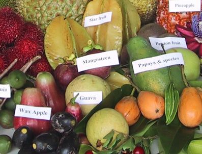 Çıkarken hızlı düşerken yavaş