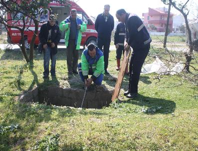 Edremit Gül Kokacak