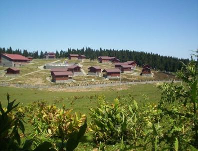 İhaleye Çıkan Kayabaşı Yayla Kentin Yeni Sahibi Belli Oldu