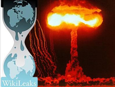 DAILY TELEGRAPH - WikiLeaks'e göre UAEK Japonya'yı uyarmış