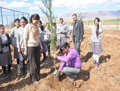 Silopi’De Kız Öğrenciler Fidan Dikti