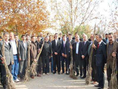 Tarımsal Destek Alan Çiftçiler Alternatif Ürüne Yöneliyor