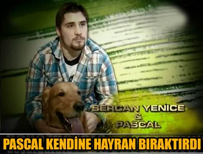 PASCAL - Yetenek Sizsiniz Türkiye'de Pascal adlı köpeğin yetenekleri şaşırttı