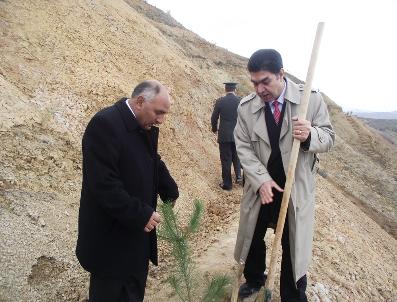 SÜLEYMAN YıLDıZ - Kırıkkale’De 600 Fidan Toprakla Buluştu