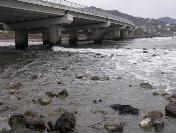 Görele Sahilinde Kadın Cesedi Bulundu (2)