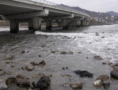 Görele Sahilinde Kadın Cesedi Bulundu (2)