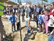 Öğrenciler 15 Bin Fidan Dikti