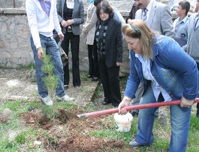 ÇEVRE VE ORMAN İL MÜDÜRLÜĞÜ - Siirt’Te Türbeler Ağaçlandırılıyor