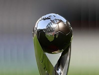 2013 Dünya Kupası Türkiye'de