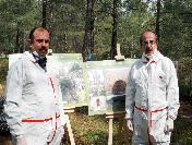 Çam Kese Böceği Ormanlara Yangınlardan 5 Kat Daha Fazla Zarar Veriyor