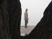 Ordu’Da Sis Etkili Oldu