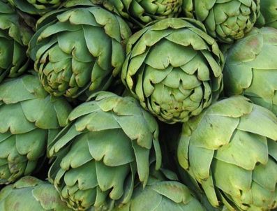 Karaciğer dostu enginarın sezonu açıldı