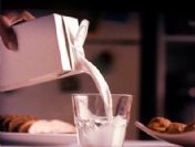 Köylülerin süt isyanı