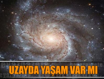 MARSHALL - NASA: Dünya dışı yaşamın izini bulduk