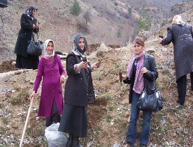 SEMA DOĞAN - Kent Konseyi Kadın Çalışma Grubu Üyeleri Fidan Dikti