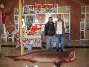 Silifke‘de Dev Köpek Balığı Yakalandı