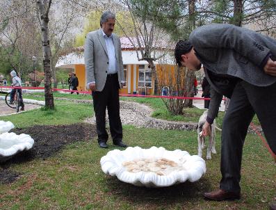 DURMUŞ KÜÇÜK - Sokak Hayvanları Susuz Kalmayacak