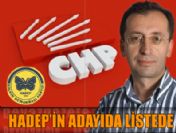 CHP Hadep'in adayını vekil yapacak